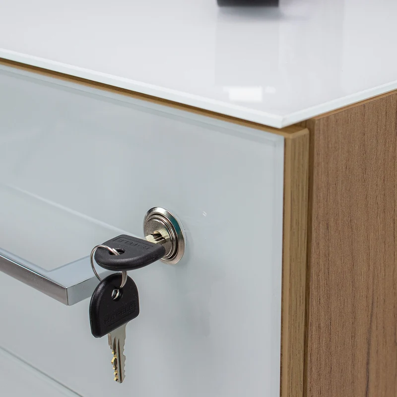 Büro-Set 5-teilig | Glasfront Abschließbar Soft-Close | Schreibtisch, Container, 2 Schränke, Regal