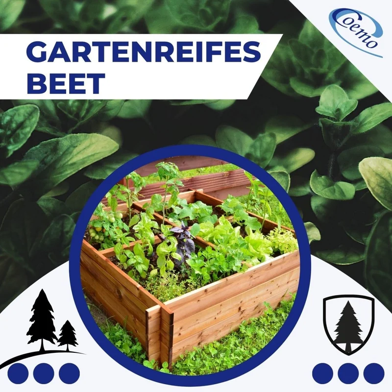 Coemo Hochbeet Riga Kräuterbeet Holz 4-geteilt mit Unterteilung