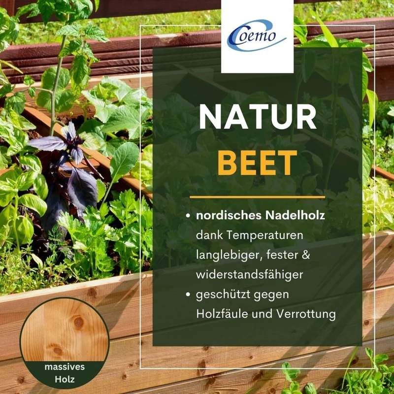 Coemo Hochbeet Riga Kräuterbeet Holz 4-geteilt mit Unterteilung