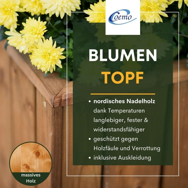 Coemo Blumenkasten Riga kleines Kräuterbeet Pflanzkübel