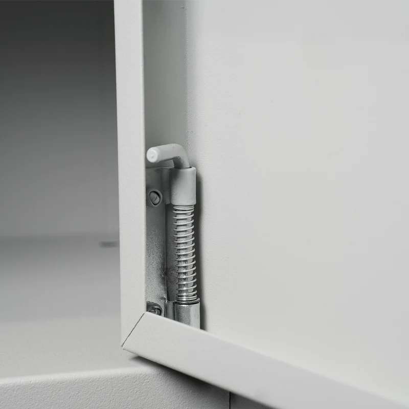 Stahl-Wertfachschrank | 10 Fächer – Lichtgrau