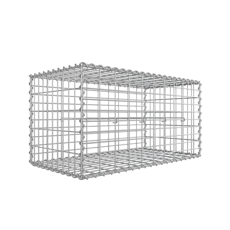 Gabionen 100 x 50 x 50 cm