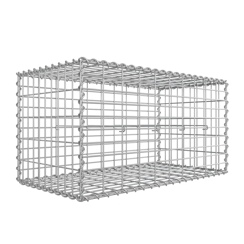 Gabionen 100 x 50 x 50 cm