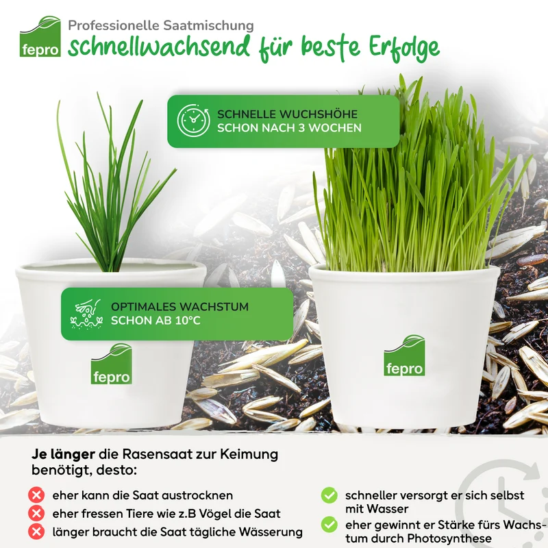 Fepro® Rasensamen Sport und Spiel schnellkeimend, dürreresistent, robust, tiefgrün, ideal für Neuansaat und Nachsaat, (Menge wählbar)