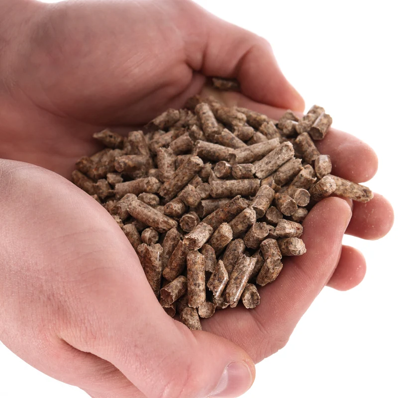 P24® Holzpellets Kiefer, 6mm, 1 Karton (2x 15kg Säcke)